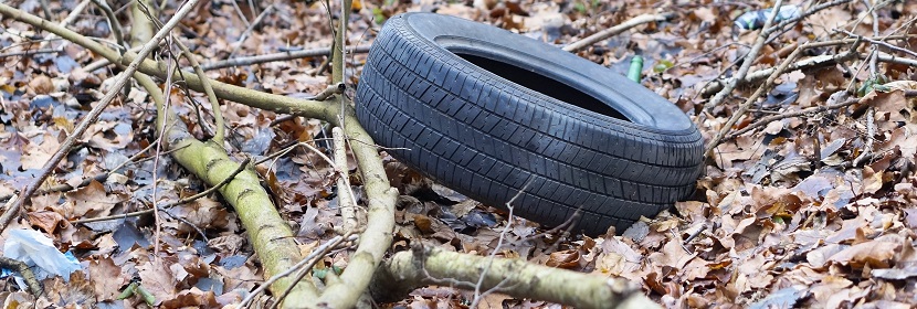 求問毒理未來的前景在何方 ?污水檢測的檢測項目和標(biāo)準(zhǔn)包括什么呢 