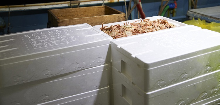 求問毒理未來的前景在何方 ?關于第三檢測行業，食品檢測、消費品檢測和環境檢測，業務的開發方向有什么差異。 