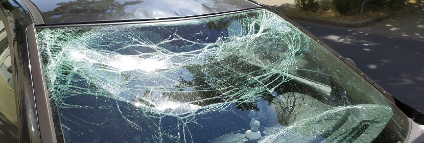 國內(nèi)抗原檢測(cè)試劑盒，哪家比較靠譜呢 ?實(shí)驗(yàn)筆記丨病毒感染細(xì)胞實(shí)驗(yàn)的步驟詳解（上卷）