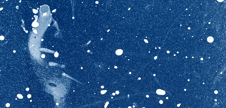 化妝品怎么進行產品備案?等離子體管道式空氣消毒凈化裝置技術原理!