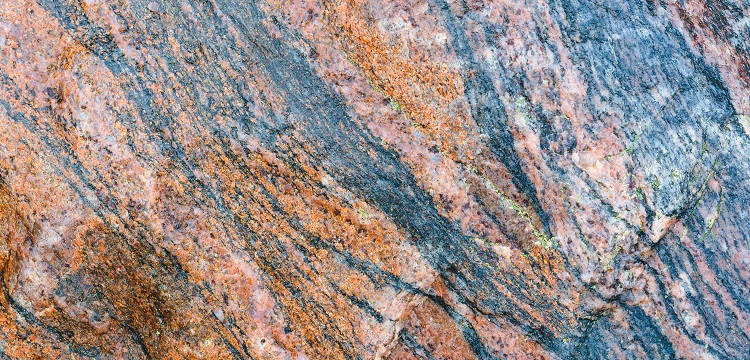 2022年廣東省最新林業碳匯申報要求匯總：方法學、申報模板、材料清單