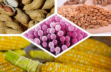 廚房抽油煙機檢測設備?滅菌器檢測項目及標準 ?健明迪