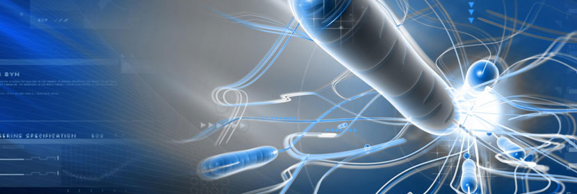 細菌內毒素檢測