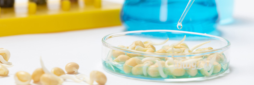 食品毒害物質(zhì)測試