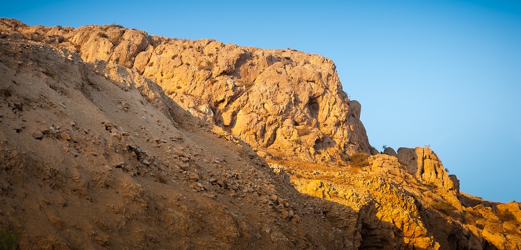 植物氮磷測(cè)定