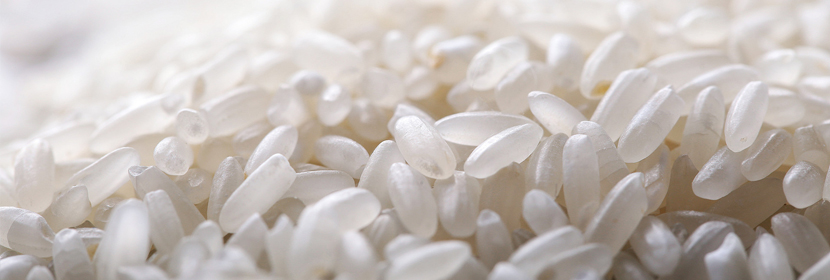 大米成分檢測,大米檢測機(jī)構(gòu),大米檢測中心