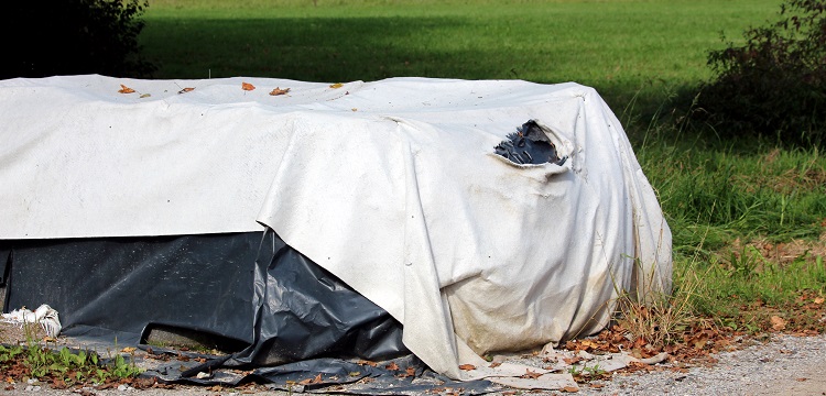 五氯苯硫酚鋅鹽檢測(cè)