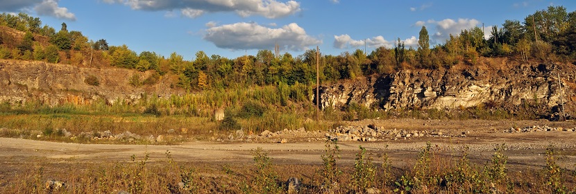 二水合草酸檢測(cè)