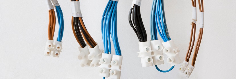 平轉(zhuǎn)浸出器檢測