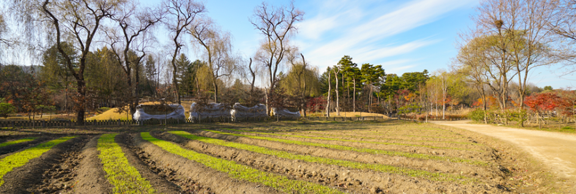醫(yī)療射頻設(shè)備檢測(cè)