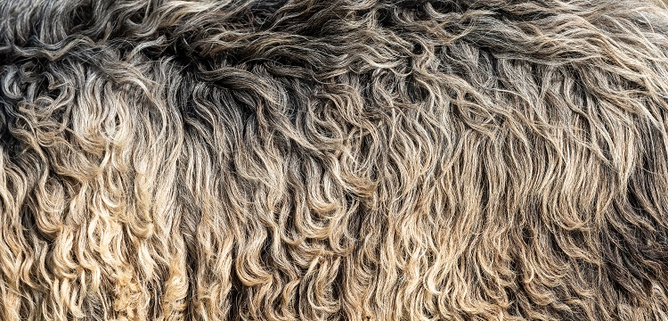 橡膠的回彈性檢測(cè)