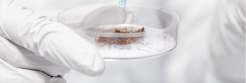 納米材料檢測(cè)