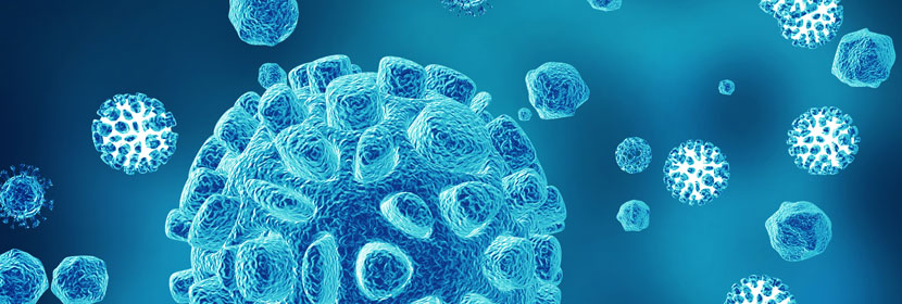 玩具微生物檢測