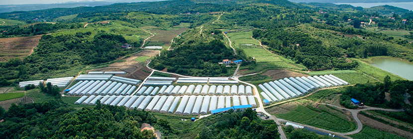 農用地土壤排查