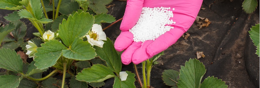 控釋鉀肥檢測檢測