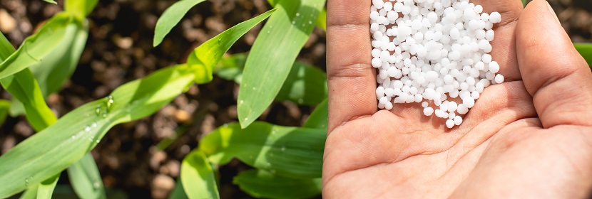 高爾夫球場(chǎng)草坪專(zhuān)用肥檢測(cè)