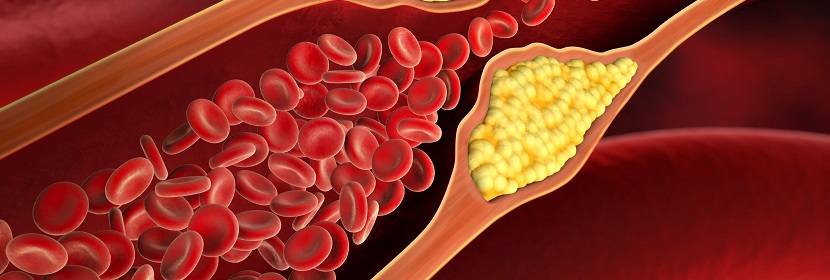 化妝品體內(nèi)哺乳動物細胞微核試驗