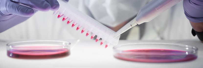 一次性使用衛(wèi)生用品陰道黏膜刺激試驗