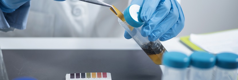 化學品哺乳動物細胞基因突變試驗