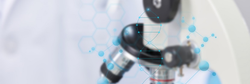 阻燃型氯丁膠檢測