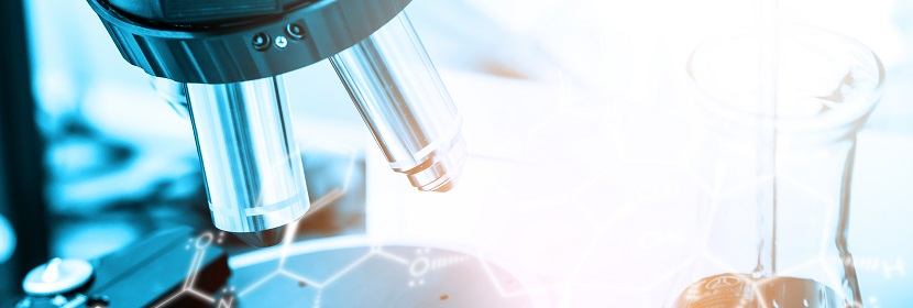 稻殼活性炭檢測(cè)