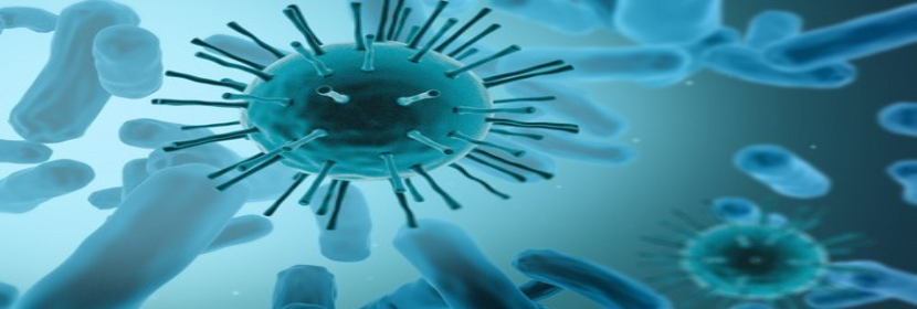 急性全身毒性試驗