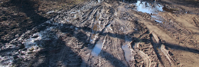 污泥有機質檢測