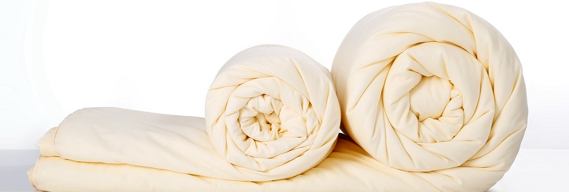 蠶絲被檢測(cè)