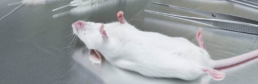 毒理學(xué)評(píng)價(jià)